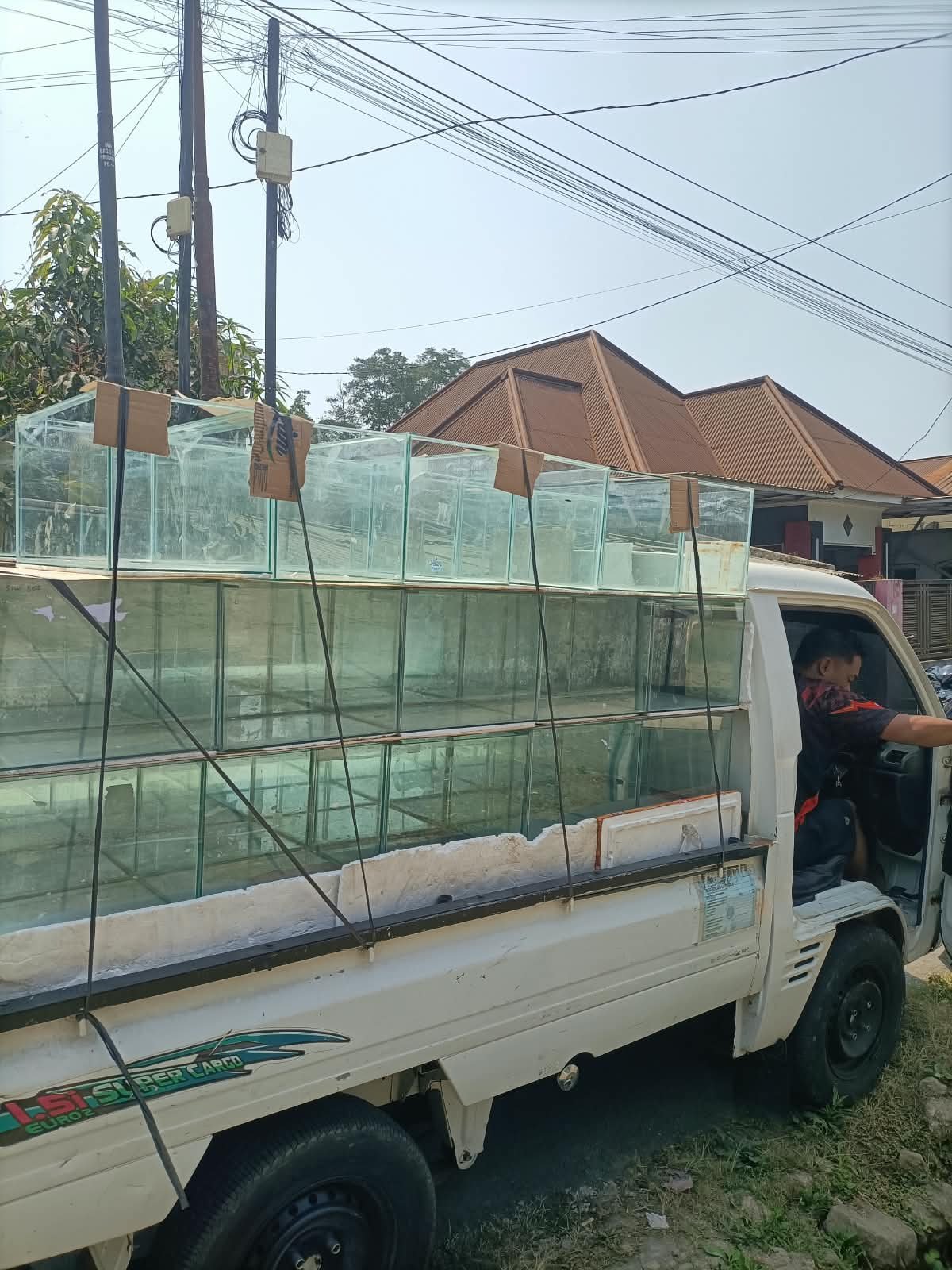 Persiapan H-3 Menuju Kontes Kutuk Meresahkan #5