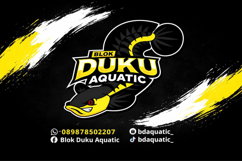 Sponsor Kutuk Meresahkan #5