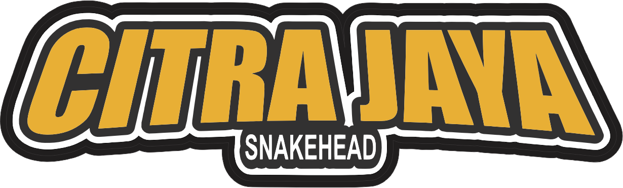 Citra Jaya Snakehead
